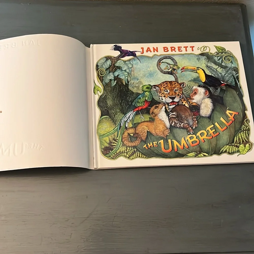 The Umbrella Hardcover – Picture Book  Sept. 2004 English edition  by Jan Bret